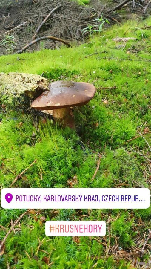 Apartmany Stran Potucky Zewnętrze zdjęcie
