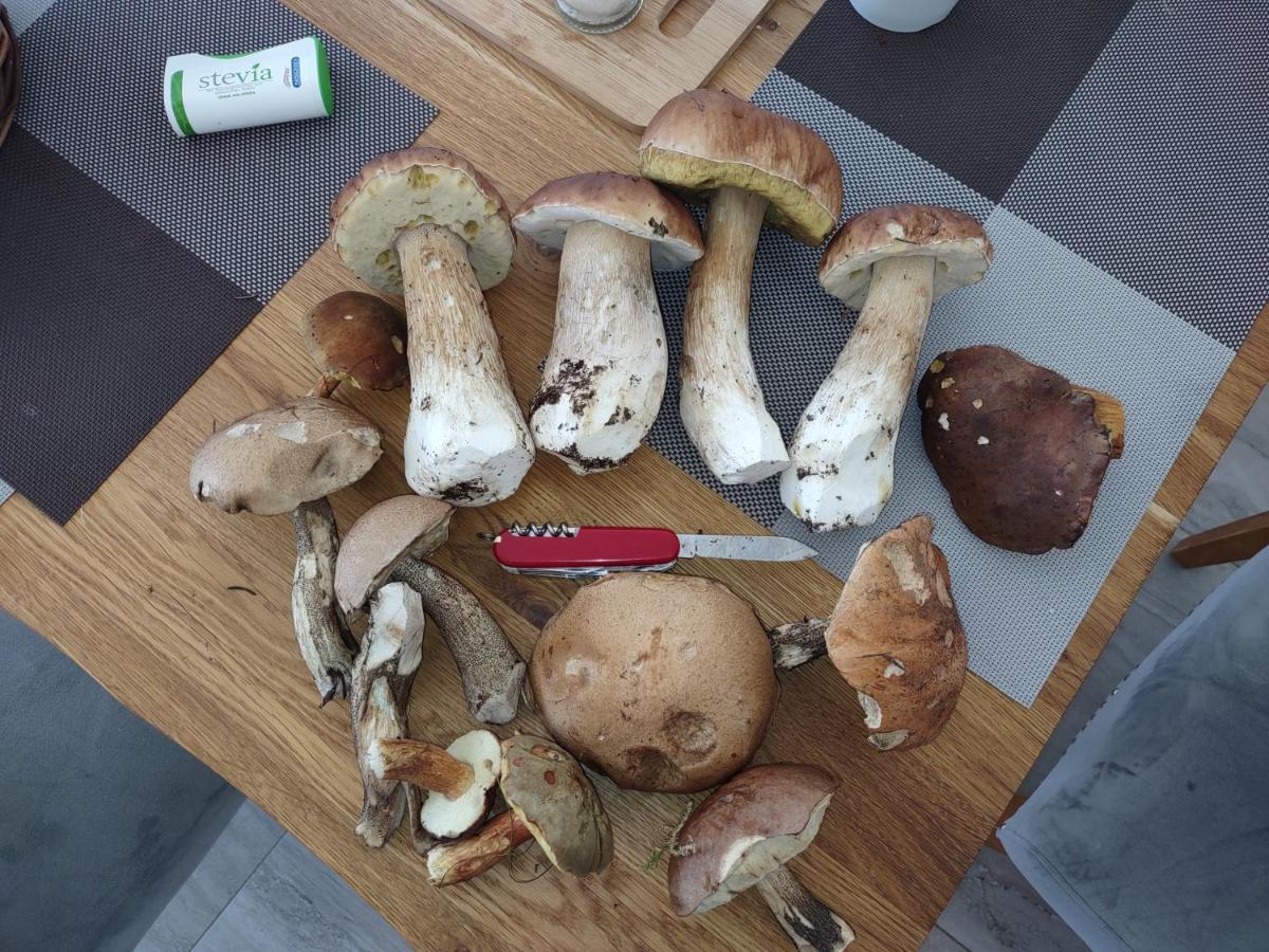 Apartmany Stran Potucky Zewnętrze zdjęcie